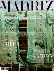 madriz logotype cover